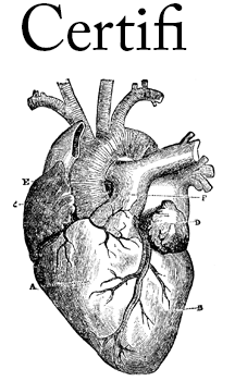 Rezzy the Requests Sea Turtle